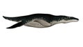 Liopleurodon prehistoric fish - 3D render Royalty Free Stock Photo
