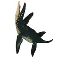 Liopleurodon on White Royalty Free Stock Photo