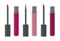 Lip gloss or liquid lipstick - clear tube and screw cap with applicator vector illustration. Beauty product