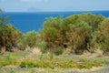 Lipari,Aeolian Islands,Italy Royalty Free Stock Photo