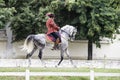 Lipica Slovenia, July 21st 2018,Spanish horse rider with his horse during public training. Spanish Riding School Royalty Free Stock Photo