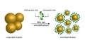 Lipid emulsification, Fat Molecule, Lipid droplets, Lipid Digestion. Royalty Free Stock Photo