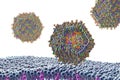 Lipid nanoparticle mRNA vaccine