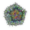 Lipid nanoparticle mRNA vaccine Royalty Free Stock Photo