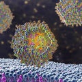 Lipid nanoparticle mRNA vaccine