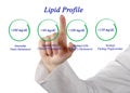 Lipid profile Royalty Free Stock Photo