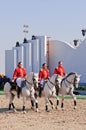 Lipizzan Stallions show Royalty Free Stock Photo