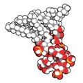 Lipopolysaccharide LPS, lipid A and inner core fragment endotoxin molecule from E. coli.