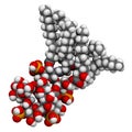 Lipopolysaccharide LPS, lipid A and inner core fragment endotoxin molecule from E. coli.