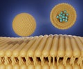 liposome carries nanomedicine into lipid bilayer membrane
