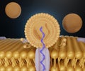 liposome RNA transfer into cell\'s membrane 3d rendering