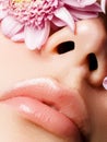 Lips augmentation. Perfect natural lip makeup. Close up macro photo with beautiful female mouth. Plump full lips. Close Royalty Free Stock Photo