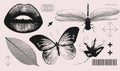 Lips, butterfly, dragonfly, flower, leaf realistic elements with a retro grainy photocopy effect. Y2k print for brutal