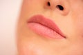 Lips in a close up view Royalty Free Stock Photo