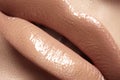 Lips with fashion natural pale lipstick make-up Royalty Free Stock Photo