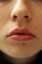 Lips of the girl Royalty Free Stock Photo