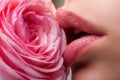 Lips with kiss closeup. Beautiful woman lips with rose. Royalty Free Stock Photo