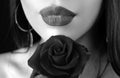 Lips with lipstick closeup. Beautiful woman lips with rose. Lipstick cosmetics makeup, fashion and beauty. Royalty Free Stock Photo