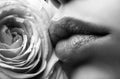 Lips with lipstick closeup. Beautiful woman lips with rose, macro with beautiful mouths. Royalty Free Stock Photo