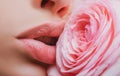 Lips with lipstick closeup. Girl open mouths. Natural beauty lips. Beautiful woman lips with rose. Royalty Free Stock Photo