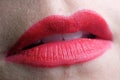 Lips of love Royalty Free Stock Photo