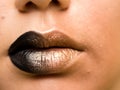 Lips make-up. Beauty high fashion trendy black with gold colour gradient lips makeup sample, mouth closeup.