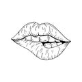 Lips sketch. Vector illustration mouth, teeth bite lips. Hand-drawn, isolated on white