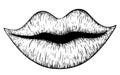 Lips smile vector illustration drawn in strokes.