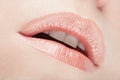 Lips, woman mouth close up in natural pink color Royalty Free Stock Photo