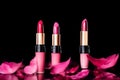 Lipstick. Fashion Colorful Lipsticks over black background. Lipstick tints palette, Professional Makeup and Beauty. Beautiful Make Royalty Free Stock Photo