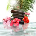 Lipstick with with tropical flowers on the background of water and palm leaves. The concept of makeup. Beautiful makeup