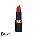 Lipstick.Women`s lipstick in vector.