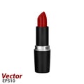 Lipstick.Women`s lipstick in vector.