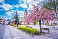 Liptovsky Mikulas, Slovakia 8.5.2019. View in sunny day with blossoming tree . buildings in the city center of Liptovsky Mikulas.