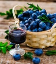 Liqueur from blueberry in a shot glass Royalty Free Stock Photo