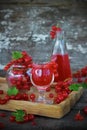 Liqueur of red currant in the glass Royalty Free Stock Photo