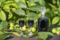 Liqueur from young green walnuts, remedy for stomach ache. Tincture of green walnuts in a glass bottle in the garden Royalty Free Stock Photo