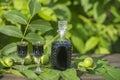 Liqueur from young green walnuts, remedy for stomach ache. Tincture of green walnuts in a glass bottle on a table in the garden Royalty Free Stock Photo