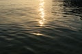 Liquid dark sea water surface rippled texture minimalistic abstract unfocused background with sunlight reflections Royalty Free Stock Photo