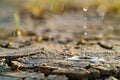 Liquid droplets fall on parched soil, creating a mesmerizing sight of renewal Royalty Free Stock Photo