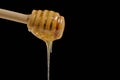 Liquid and fresh honey dripping from wooden honey spoon black background. Royalty Free Stock Photo