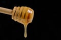 Liquid and fresh honey dripping from wooden honey spoon black background. Royalty Free Stock Photo