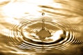Liquid gold drop and ripple Royalty Free Stock Photo
