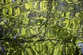 Liquid Green Spring Ripples Textures Royalty Free Stock Photo