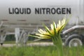 Liquid Nitrogen Royalty Free Stock Photo