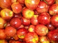 Liquid of ripe red apples from the new harvest Royalty Free Stock Photo