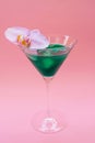Liquid spirulina green drink with Phalaenopsis in cocktail glass on pink background.