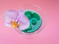 Liquid spirulina green drink with Phalaenopsis in cocktail glass on pink background.