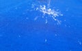 Liquid Water Splash on blue Background Royalty Free Stock Photo