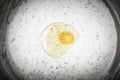 Liquid white dough whisk with herbs and a broken egg. Toned Royalty Free Stock Photo